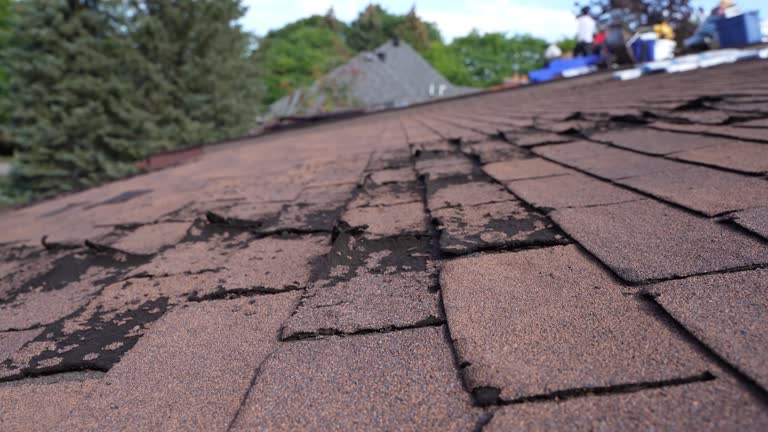 Best Flat Roofing  in Echelon, NJ