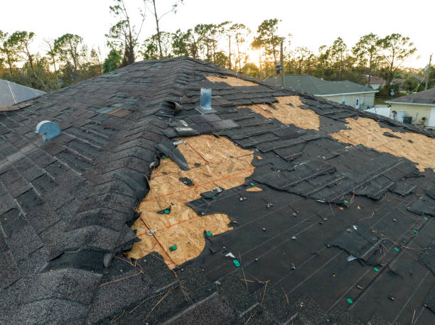 Best Gutter Installation and Repair  in Echelon, NJ