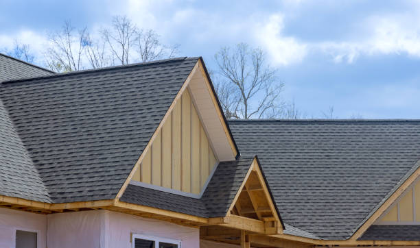 Best Roof Leak Repair  in Echelon, NJ