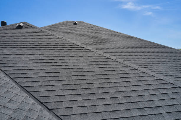 Best Green or Eco-Friendly Roofing Solutions  in Echelon, NJ